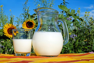 dia mundial de la leche